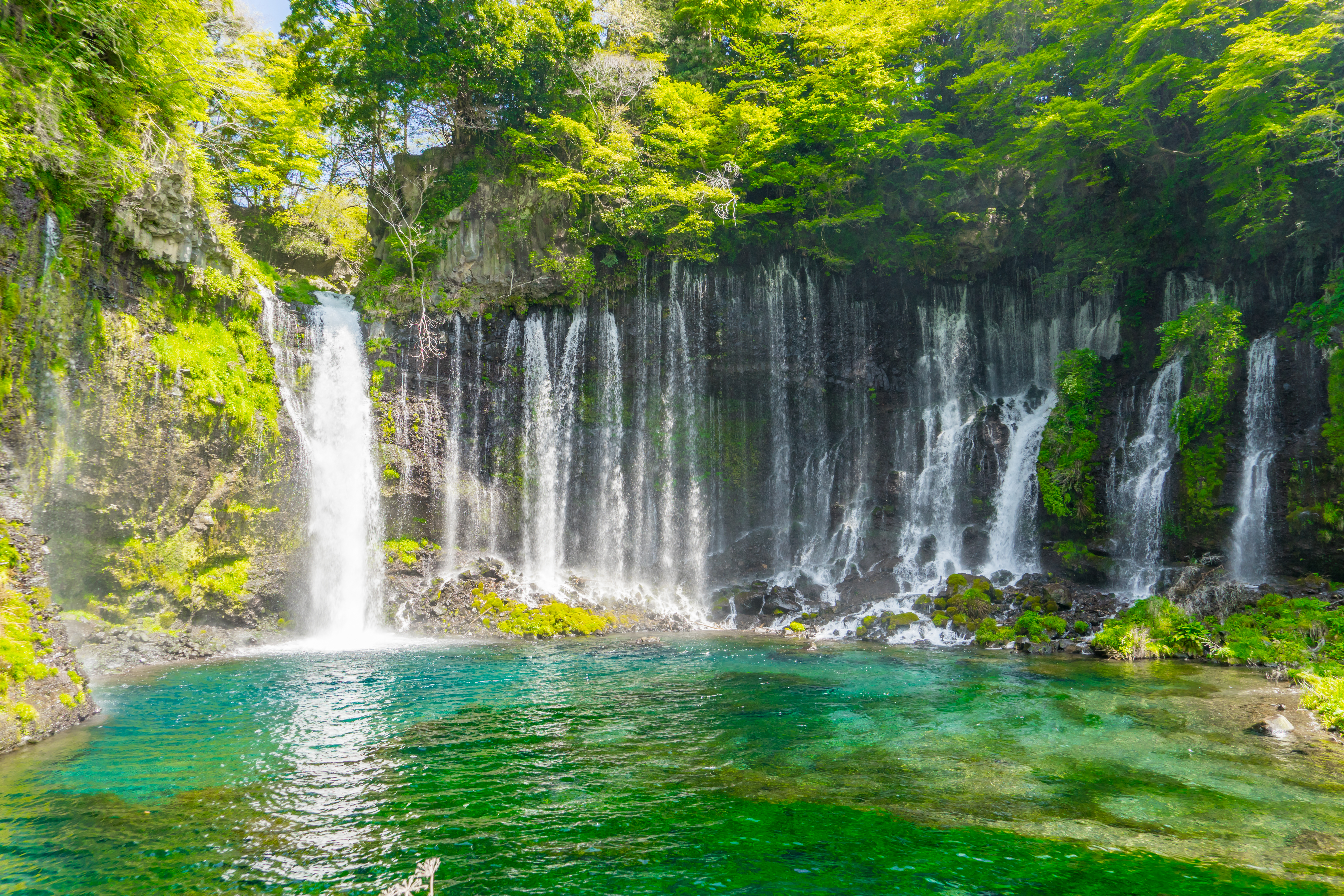 Shiraito Falls (Shizuoka)