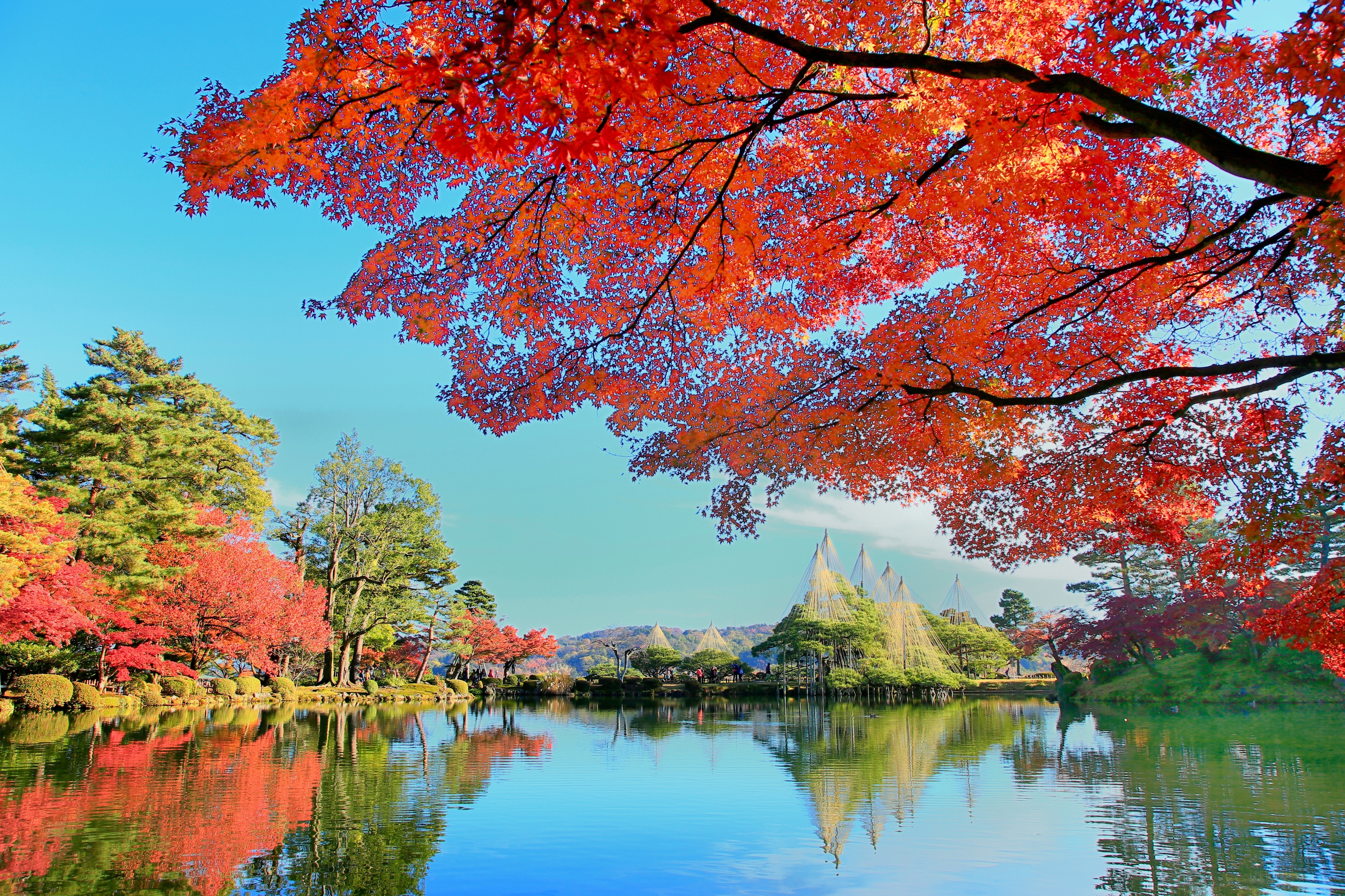 Autumn in Japan