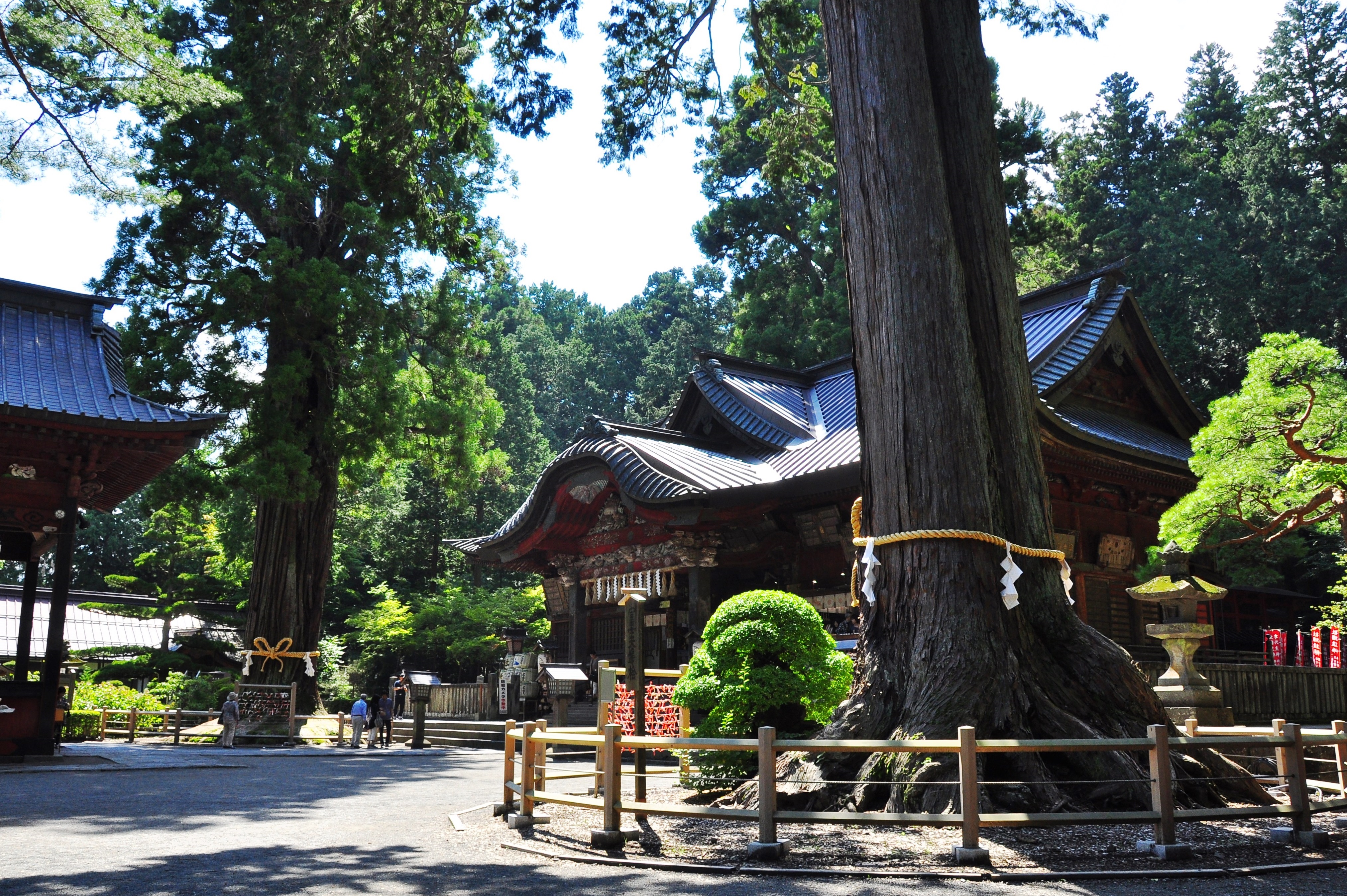 Kitaguchi Hongu Fuji Sengen Jinja Shrine Yamanashi Attractions Travel Japan Jnto