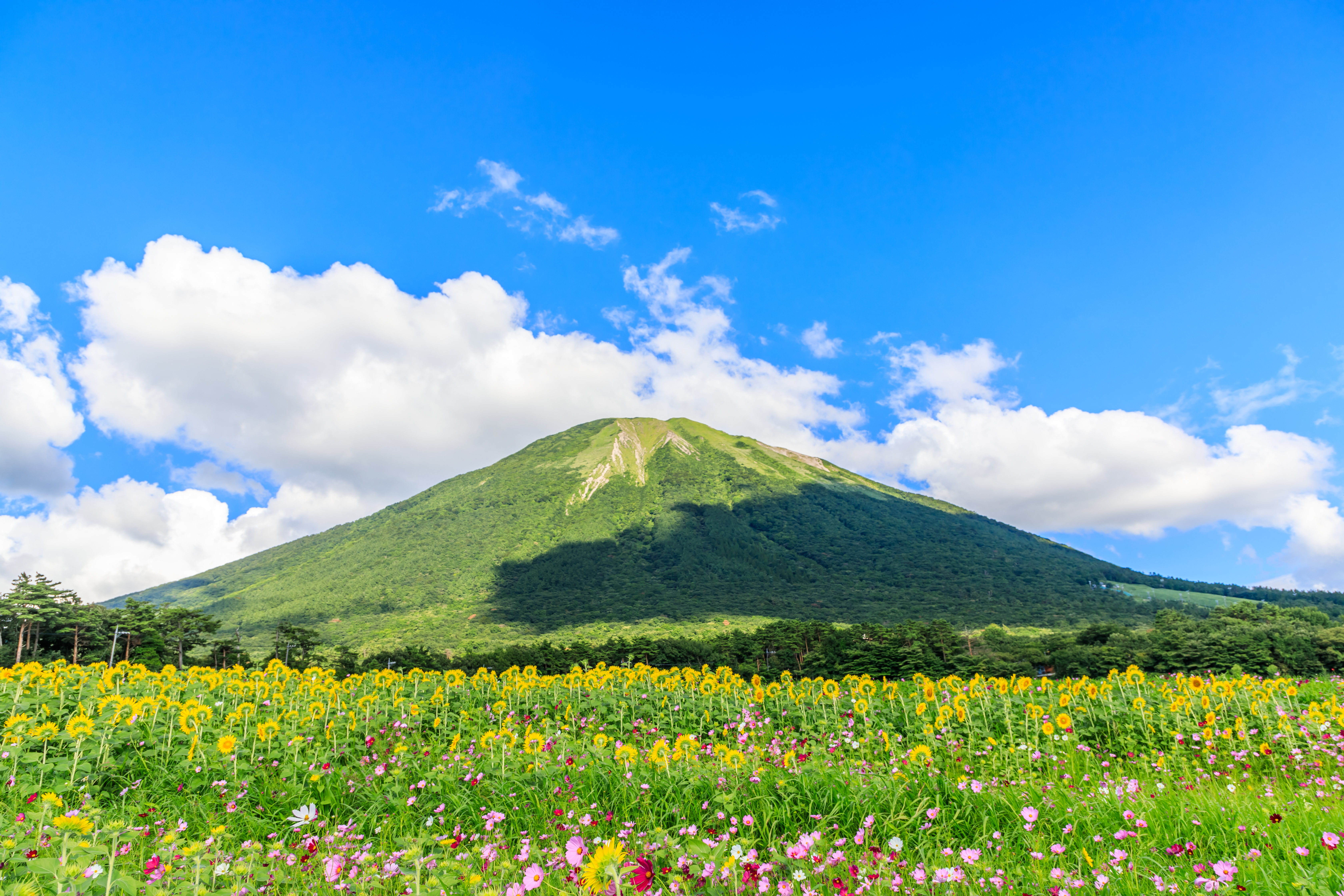 Mt. Daisen