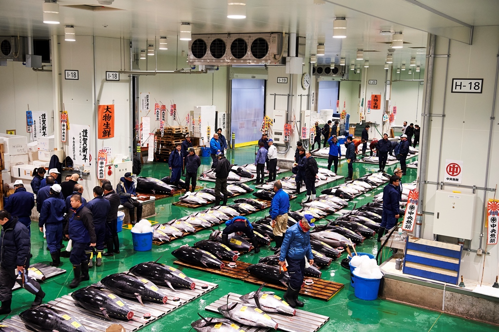 toyosu market tours