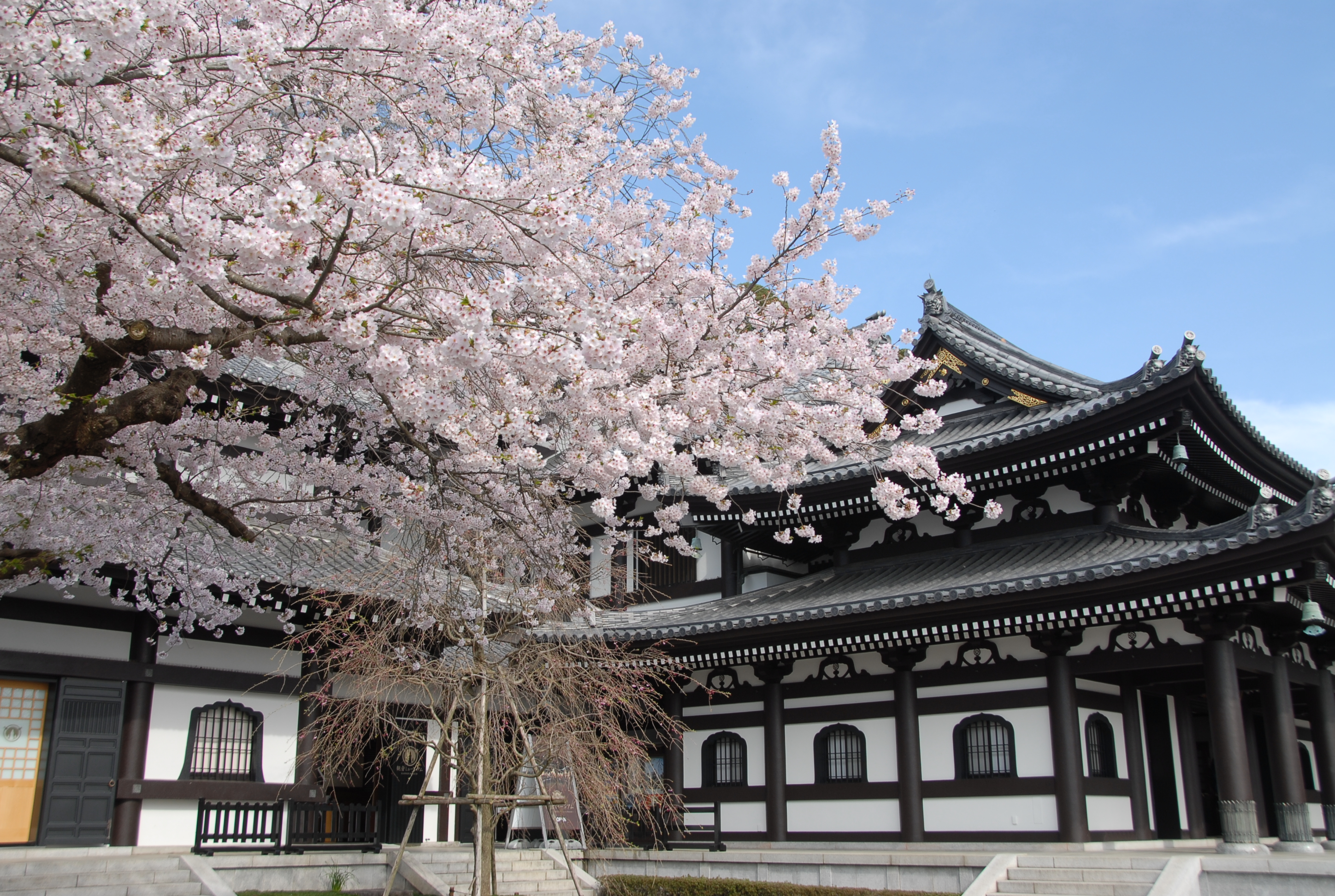 hase-dera temple