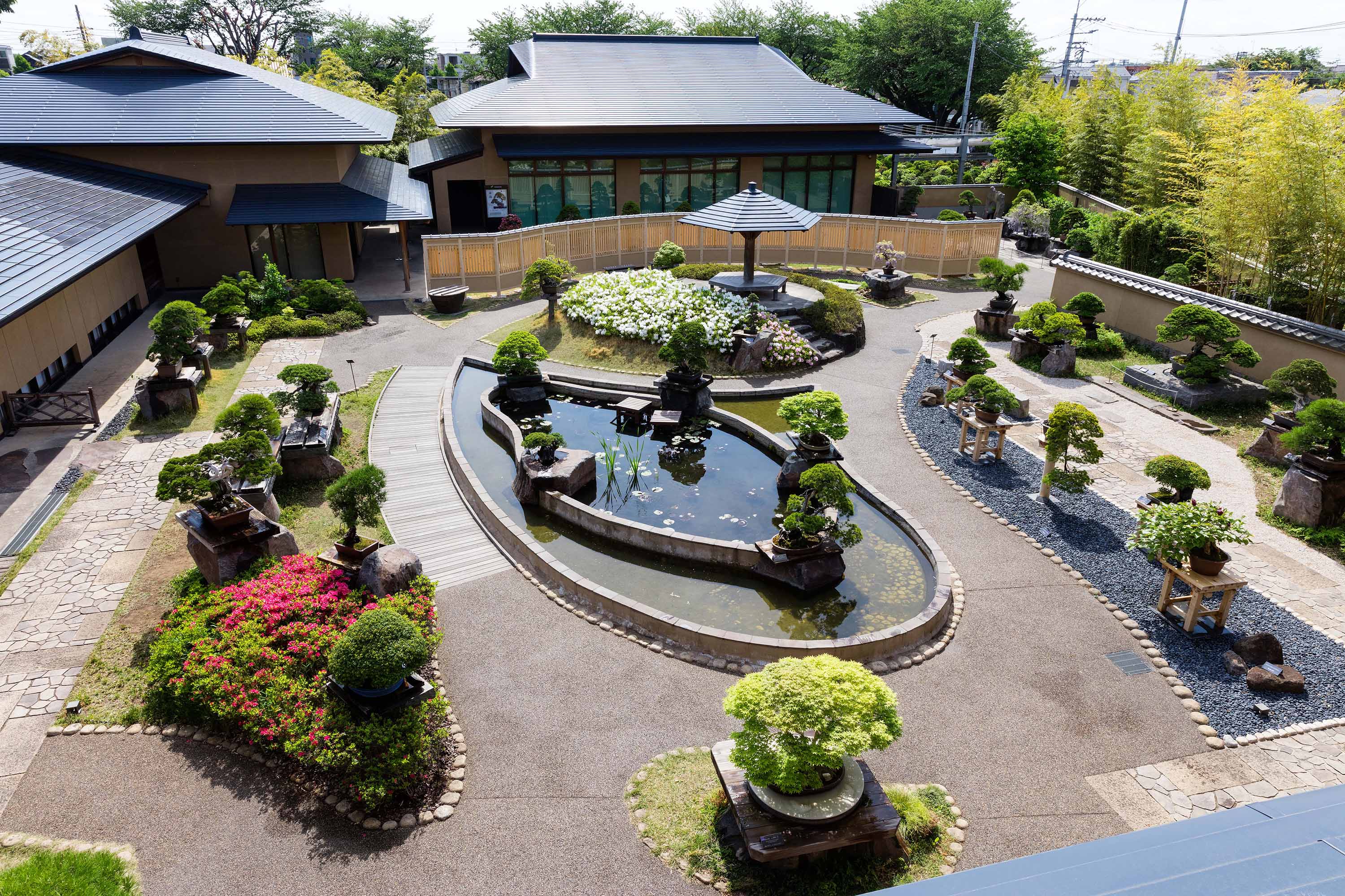 Tree House Bonsai: Bonsai Garden in Japan