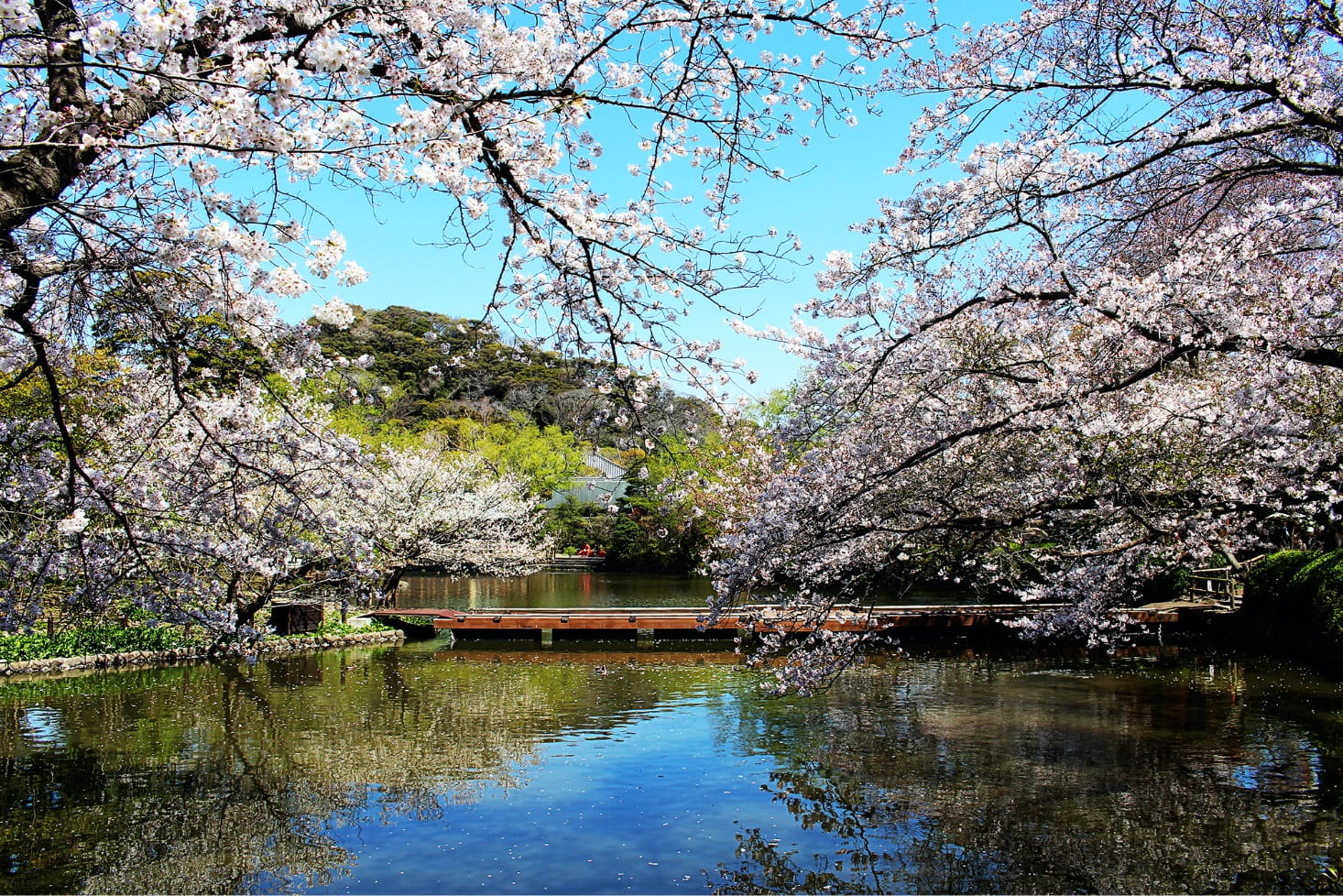 Hiroshima : Expérience de tir à l'arc traditionnel japonais