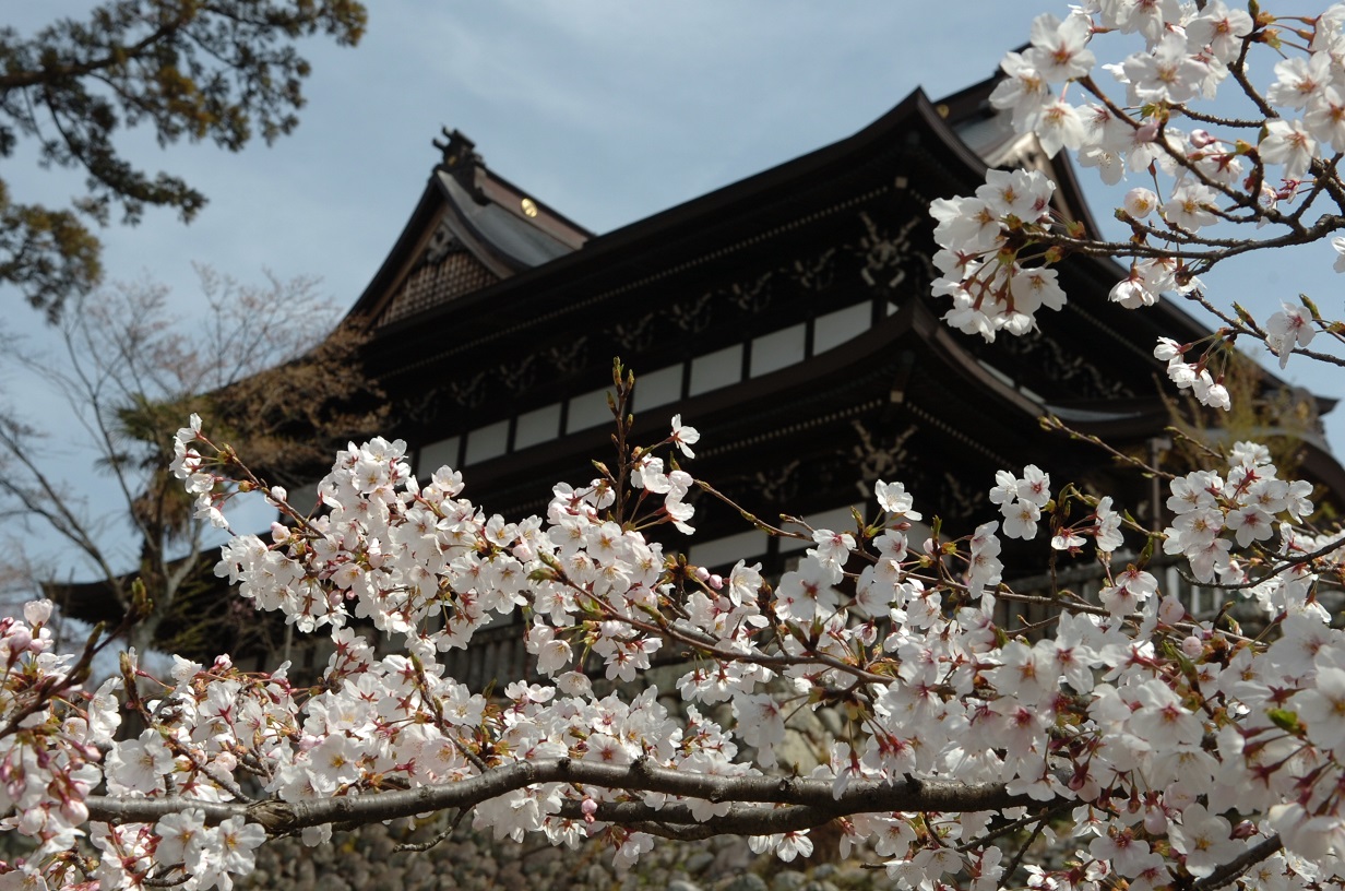 Seki | Travel Japan - Japan National Tourism Organization (Official Site)