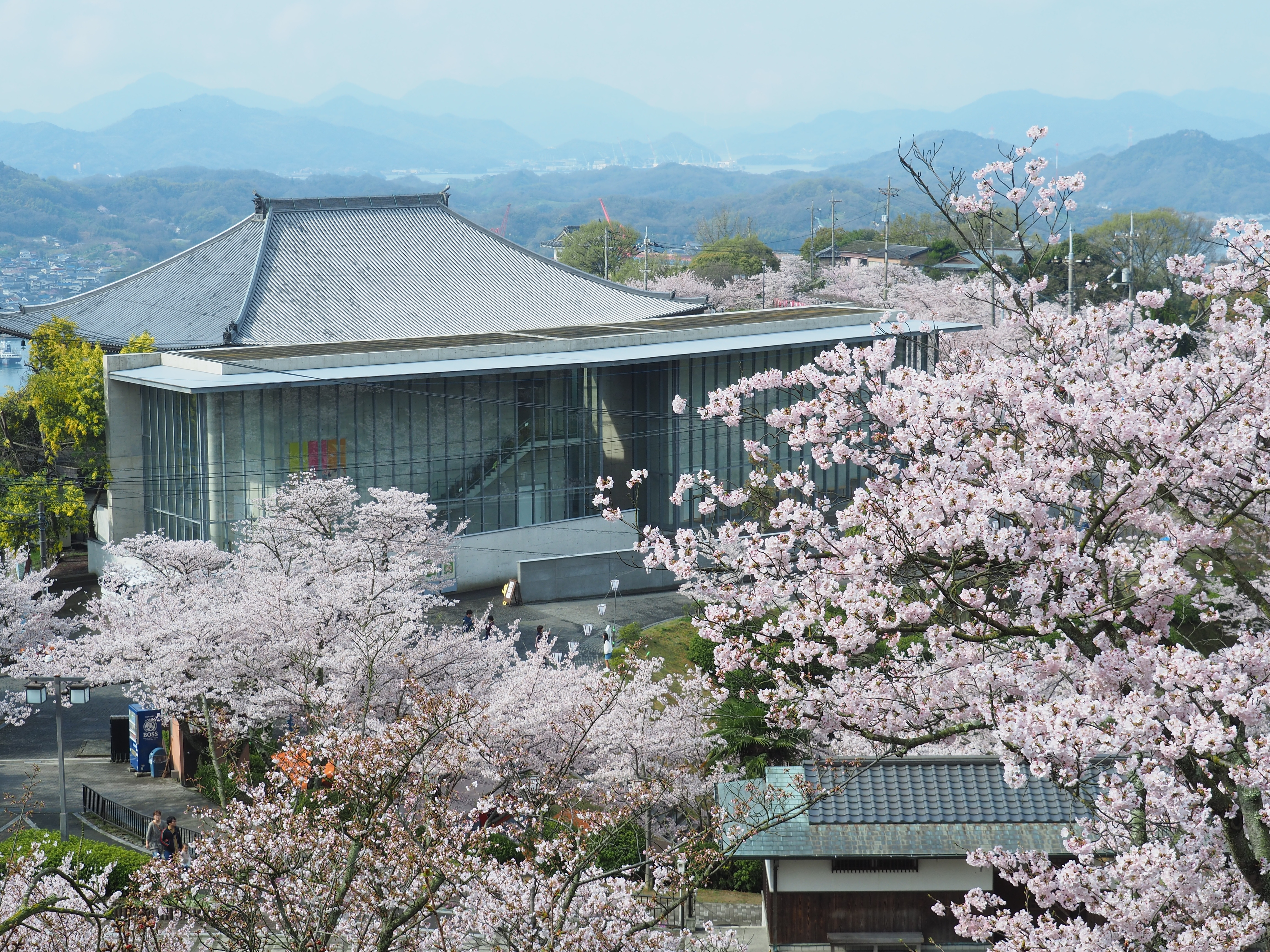 Senkoji Park