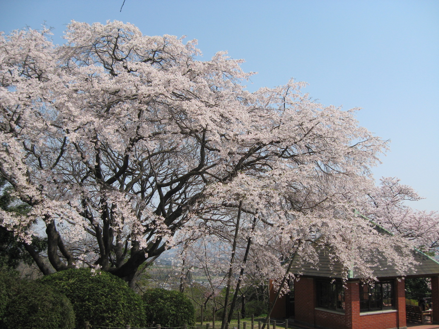 Handayama Botanical Garden