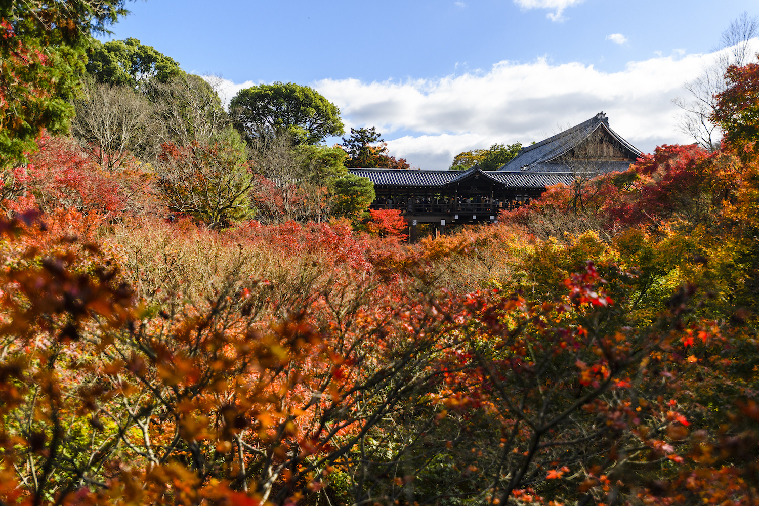 Tofukuji Temple