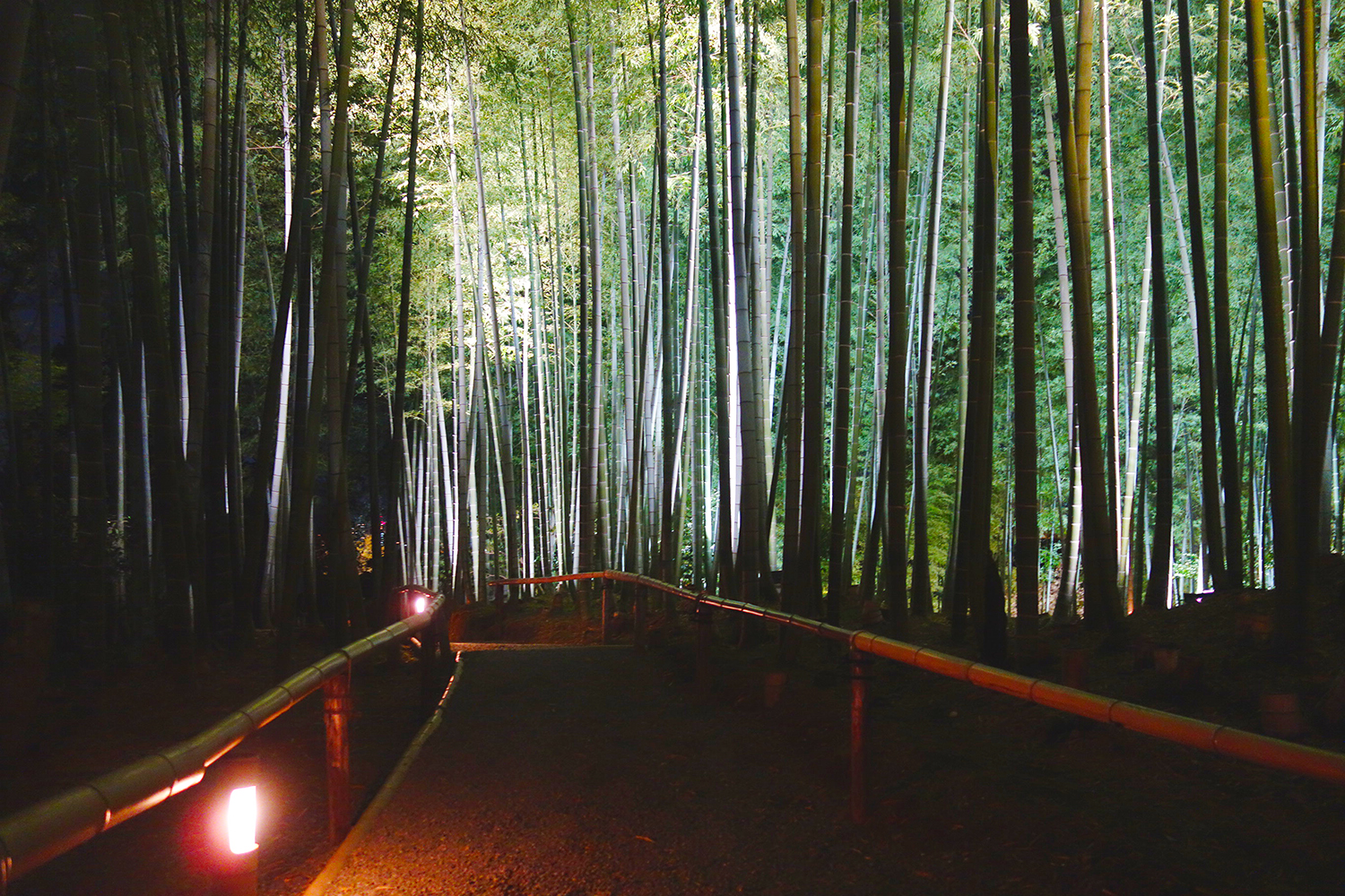 Kodaiji Temple