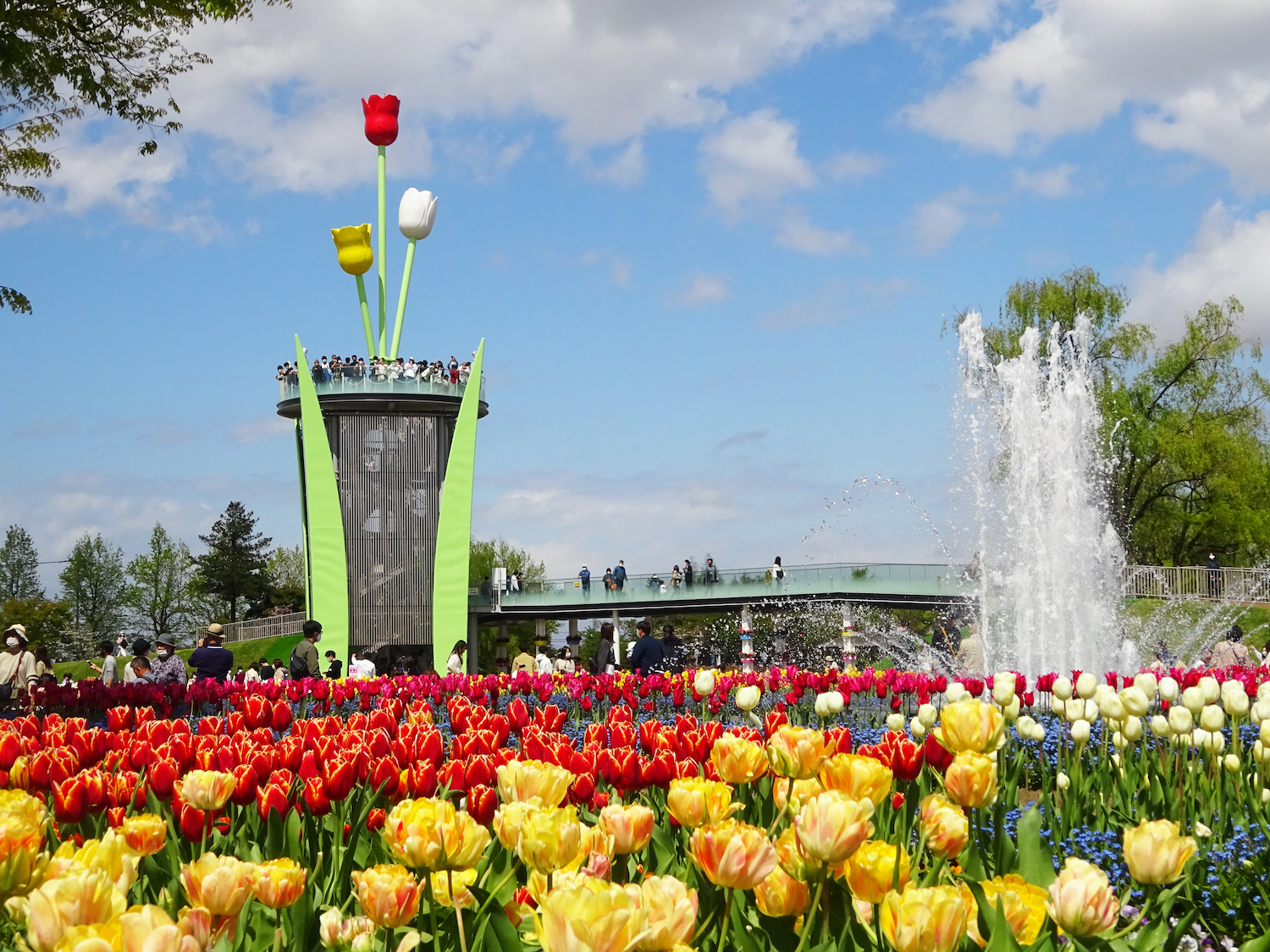 Tonami Tulip Park