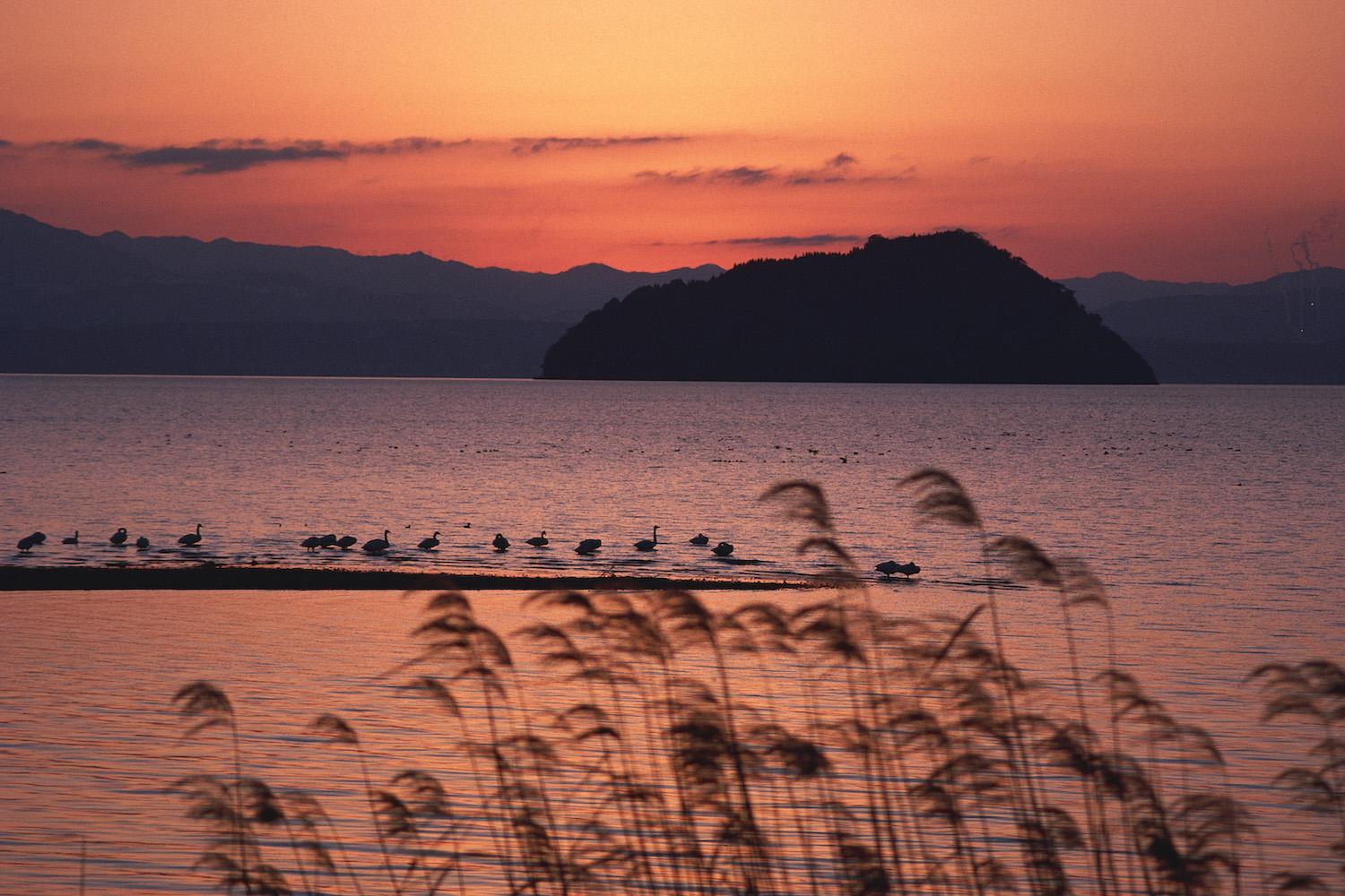 Chikubu Island (Chikubushima)