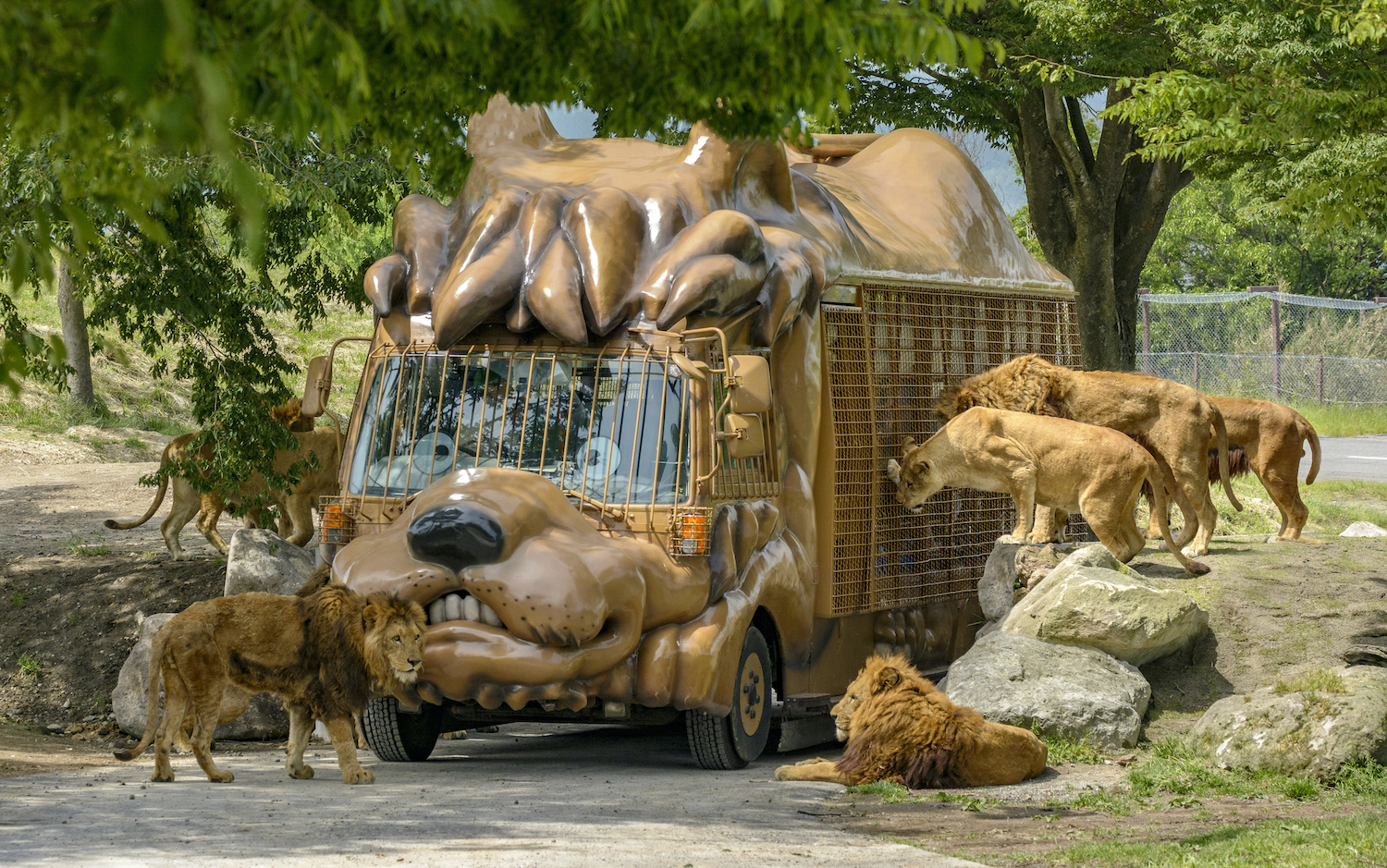 Zoológico African Safari | Travel Japan (Organización Nacional de Turismo  de Japón)