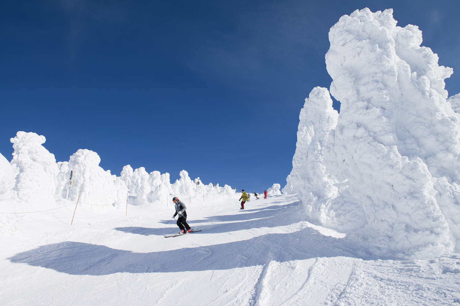 Mt. Zao Skiing