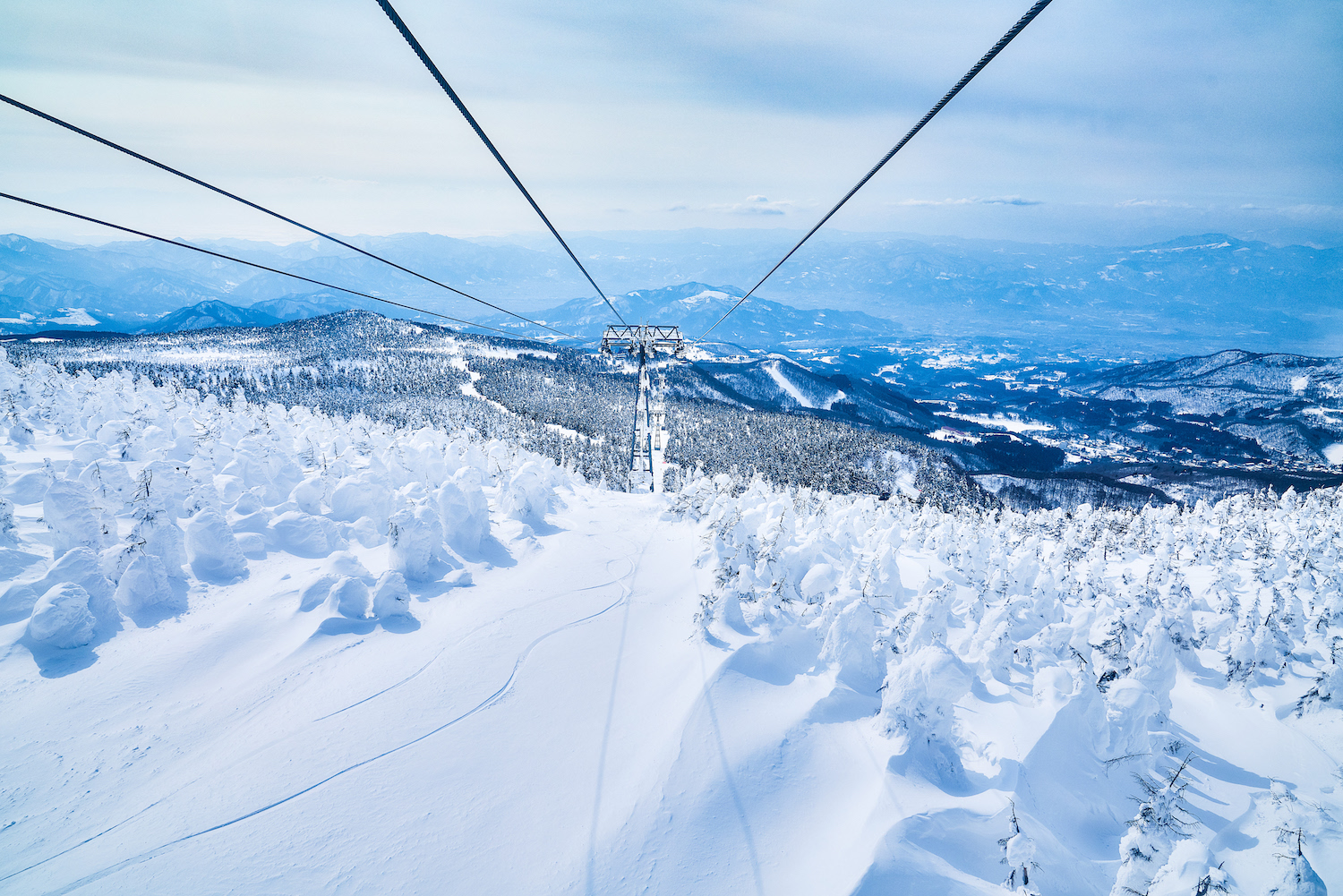 Zao Snow Monsters (Miyagi) | Travel Japan - Japan National Tourism