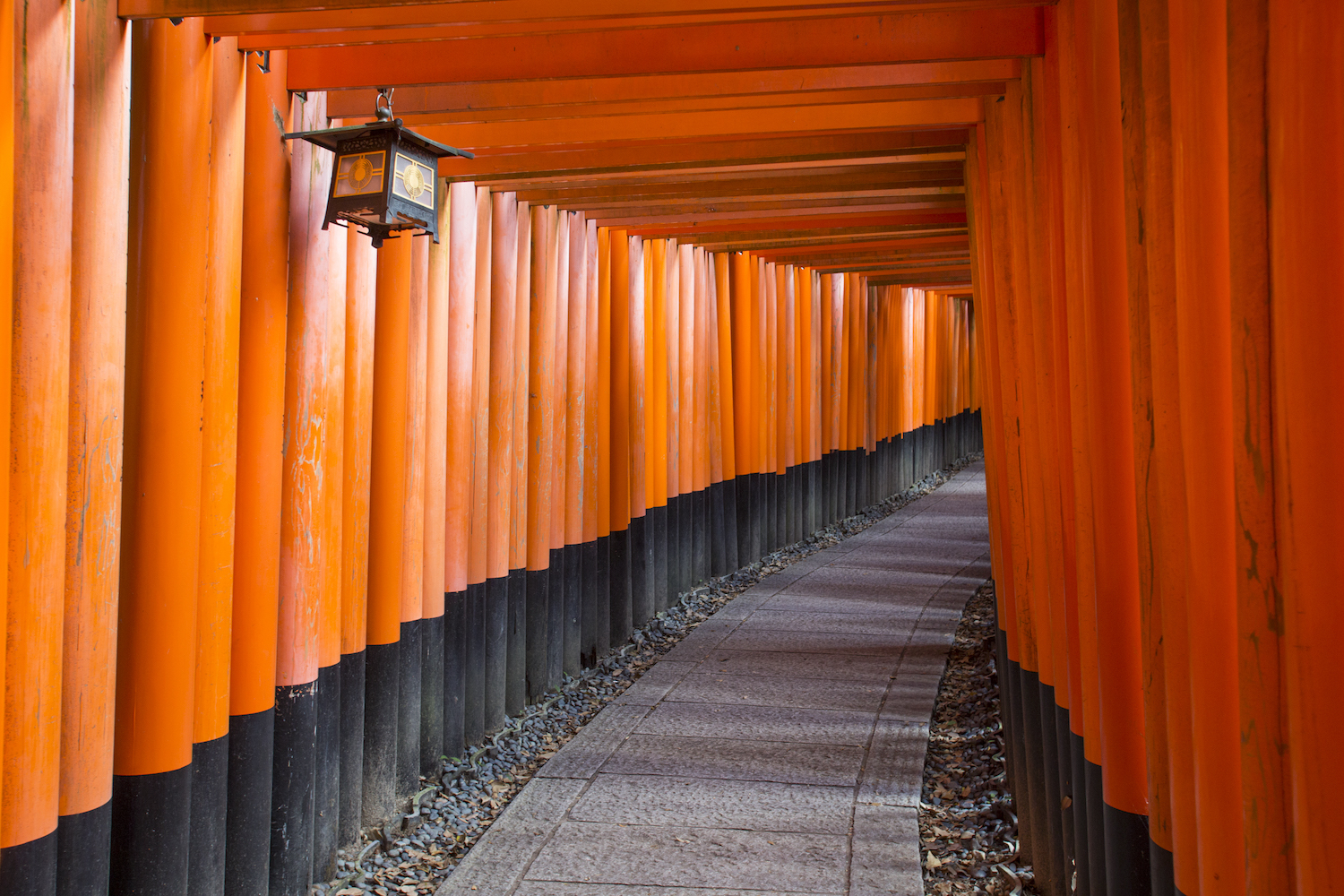 Fushimi Inari Taisha Shrine