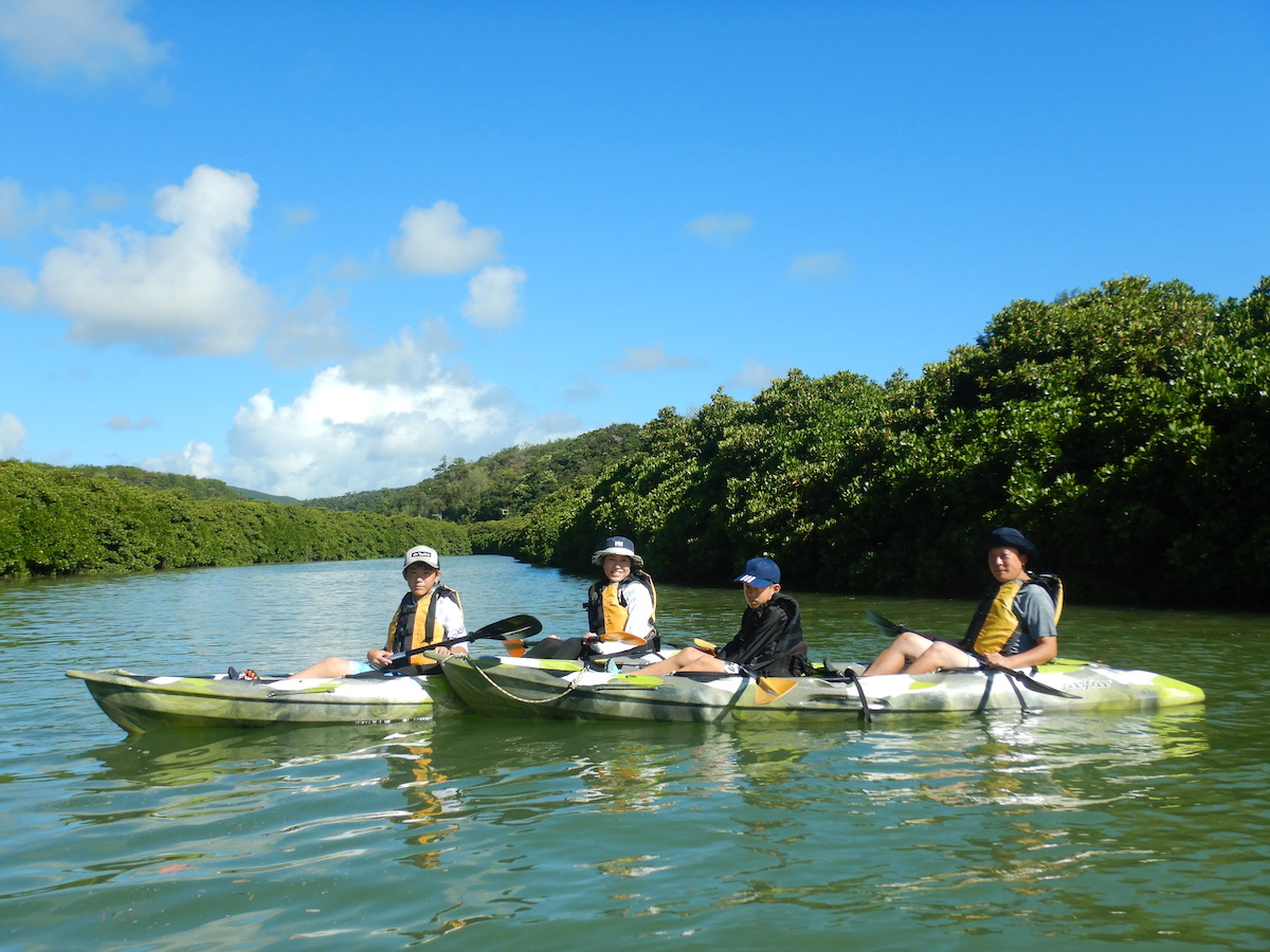 Yanbaru Mangrove Kayaking