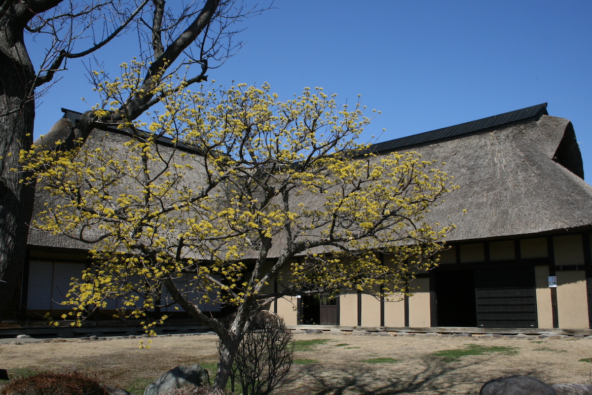 Morioka Handi-Works Square