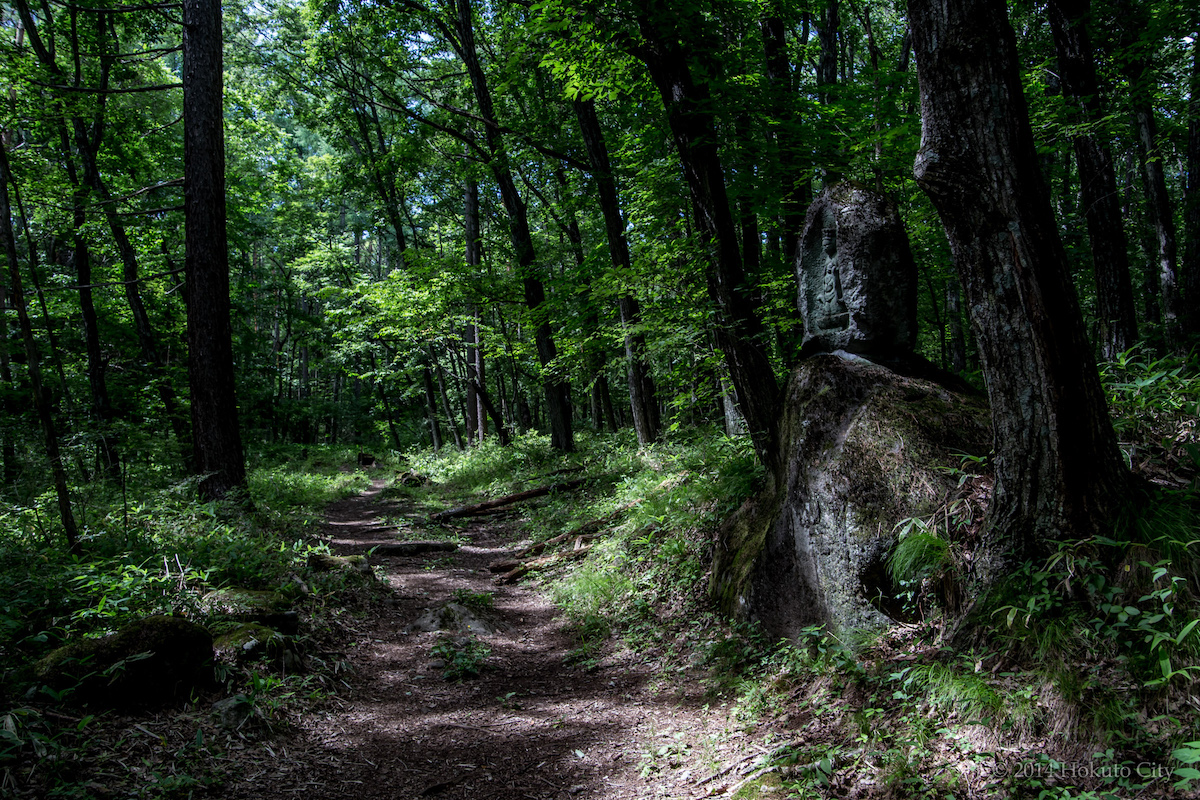 Shingen Bomichi Trail