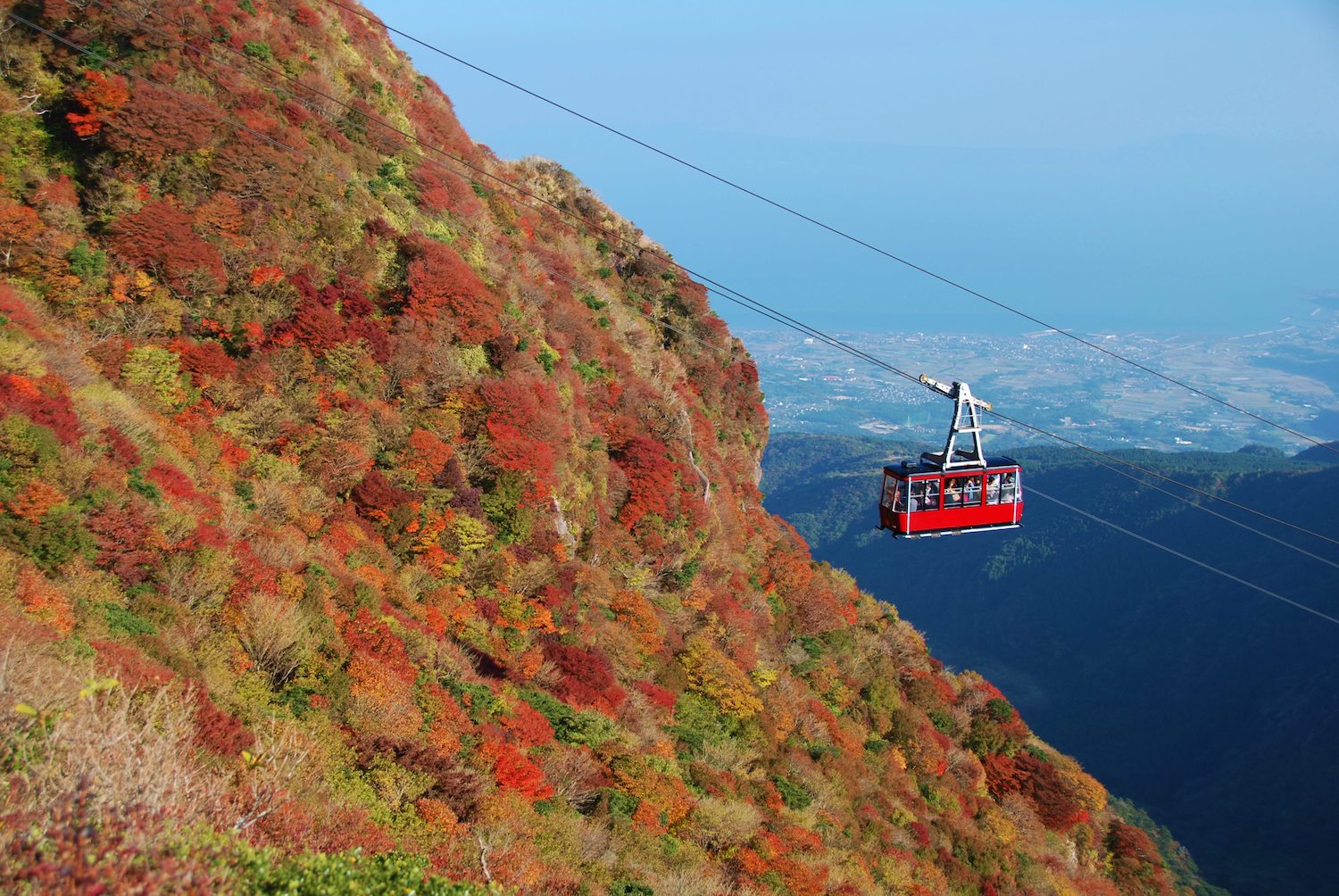 Nita Pass Autumn Leaves