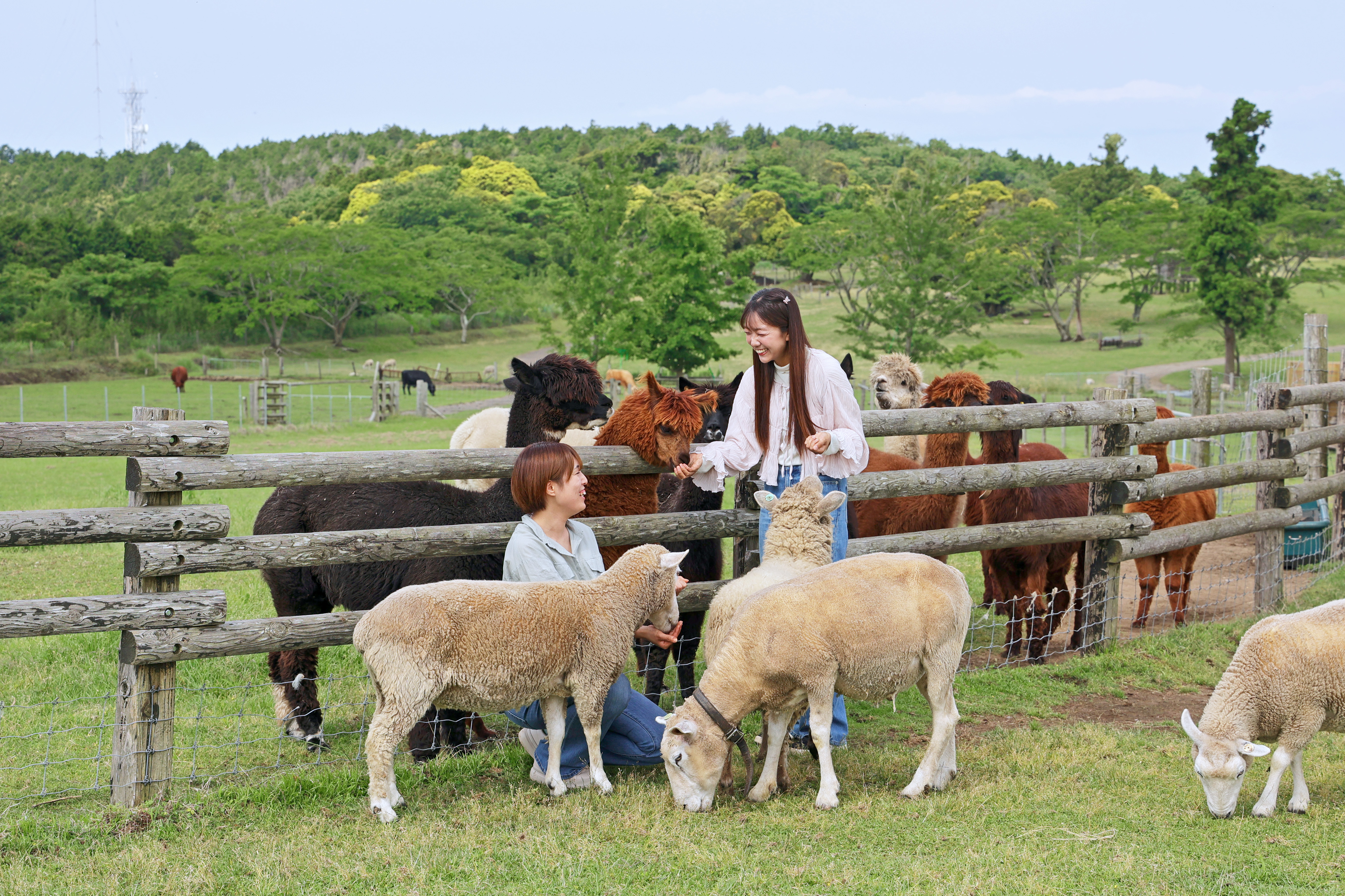 Mother_Farm_Tour_DX1_20250616_gzpqci