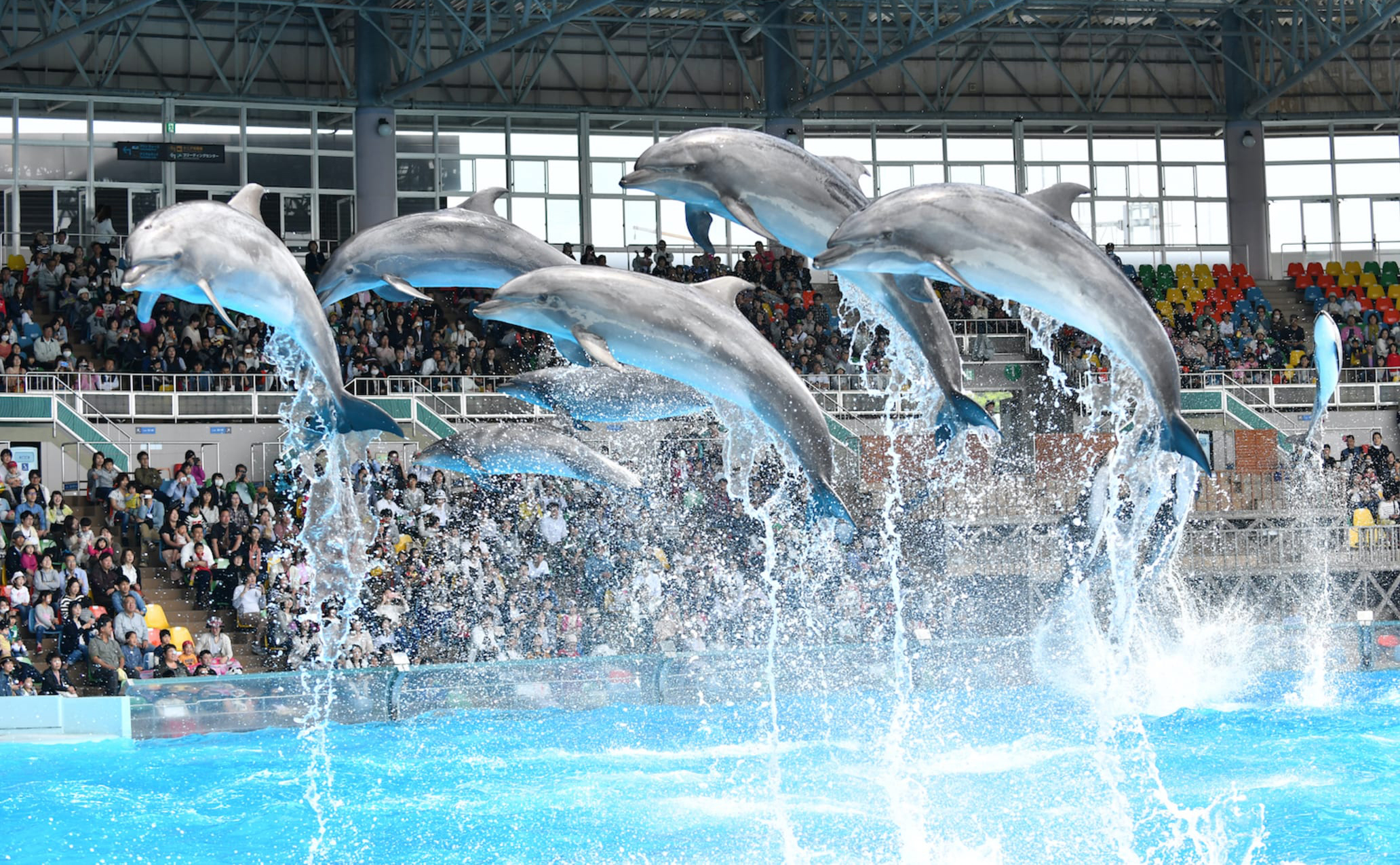 Wakayama Adventure World