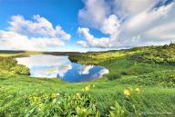 Experiences in Japan